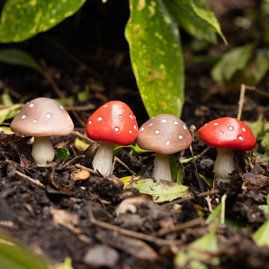 Mini Pflanzenstecker Pilze Fliegenpilz Cottagecore