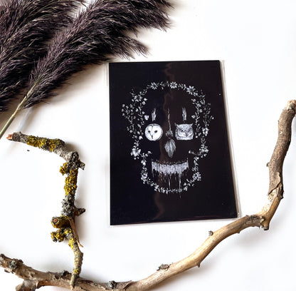 Kunstdruck Nocturn Schädel - Art Print by Mary Syring